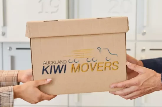 kiwi (4) (1)
